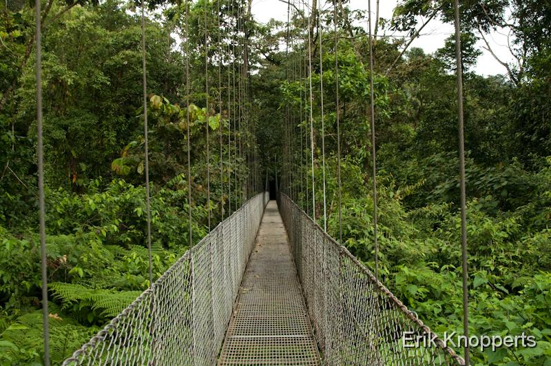 El Arenal - Hanging bridges-2.jpg